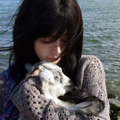 猫侍剧场版