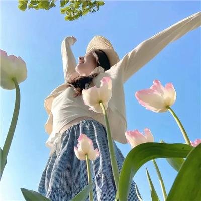 星级汪站长 在线观看